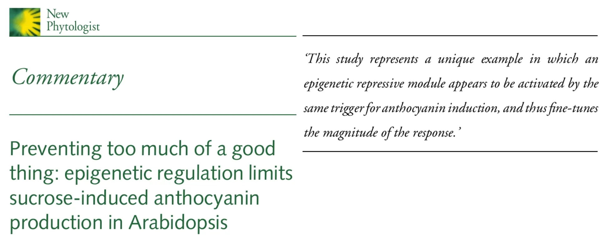 Commentary on “Interaction of ubiquitin-like protein SILENCING DEFECTIVE 2 with