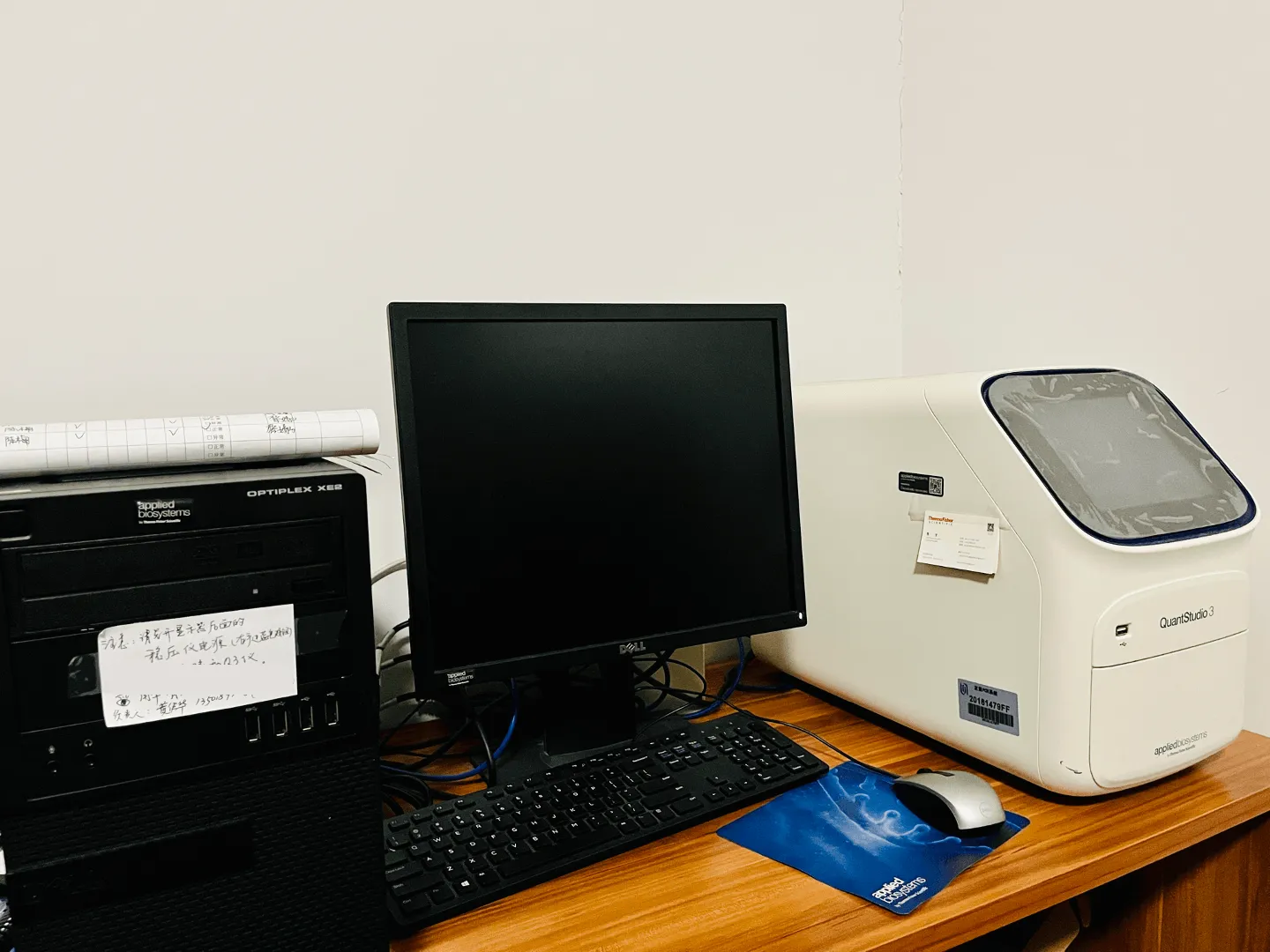 QuantStudio 3 实时荧光定量 PCR 系统